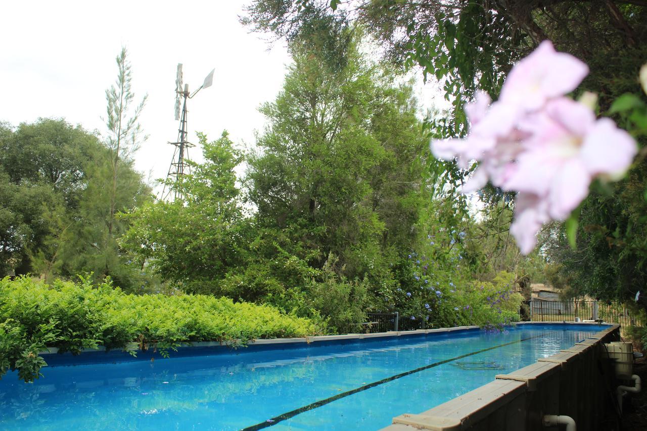 Rosebank Homestead And Farmstay Dalby Ngoại thất bức ảnh
